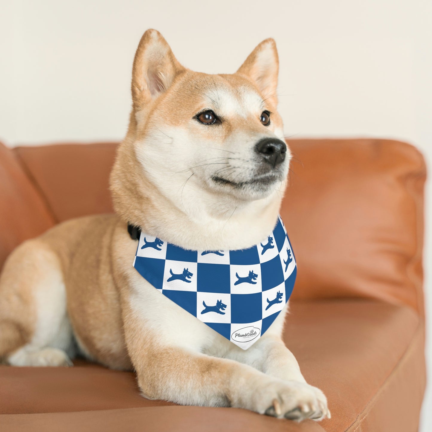 Perky's Pet Bandana Blue & White